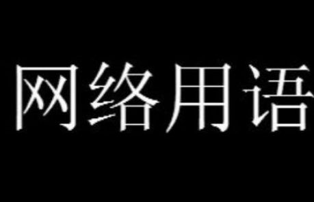 6是什么意思网络用语